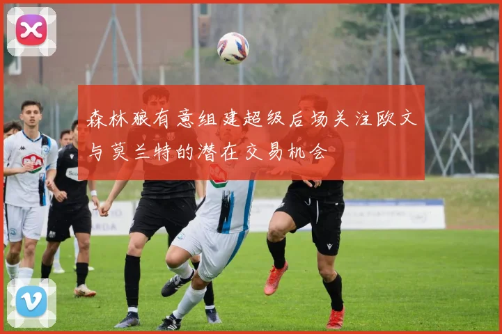 森林狼有意组建超级后场关注欧文与莫兰特的潜在交易机会