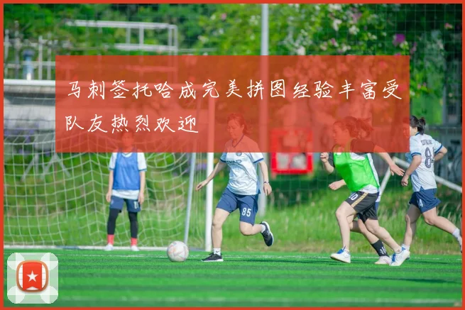 马刺签托哈成完美拼图经验丰富受队友热烈欢迎